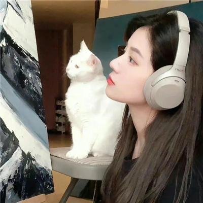 恋恋风尘